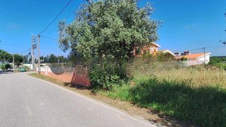 Land for sale in Anadia, Portugal — €55,000