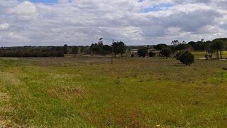 Land for sale in Coruche, Portugal — €240,000