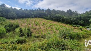 Terreno em Mafra · 4187 m² · 29 000 €