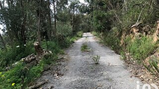 Land for sale in Monchique, Portugal — €60,000
