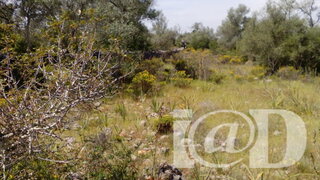Land for sale in Silves, Portugal — €50,000