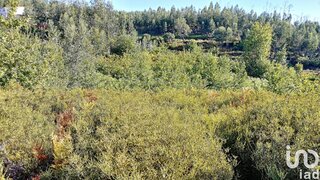 Land for sale in Pedrógão Grande, Portugal — €24,500