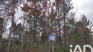 Land for sale in Sabugal, Portugal — €31,500