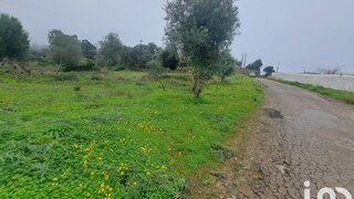 Land for sale in São Brás de Alportel, Portugal — €60,000