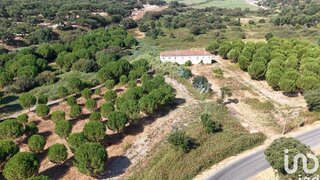 Land for sale in Alpiarça, Portugal — €531,898