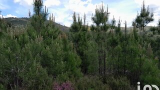Land for sale in Covilhã, Portugal — €50,000