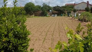 Land for sale in Oliveira de Azeméis, Portugal — €53,500