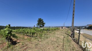 Land for sale in Leiria, Portugal — €188,000