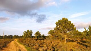Land for sale in Vila do Bispo, Portugal — €390,000