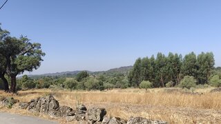 Land for sale in Penamacor, Portugal — €9,500