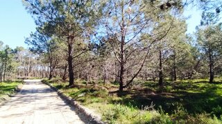 Land for sale in Vila do Bispo, Portugal — €420,000