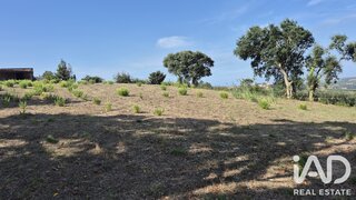 Land for sale in Alcobaça, Portugal — €55,000