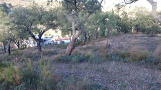 Land for sale in Ponte de Sor, Portugal — €19,000