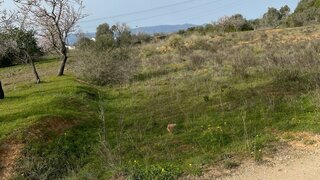 Land for sale in Silves, Portugal — €330,000