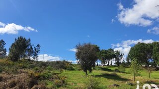 Land for sale in Ourém, Portugal — €355,000