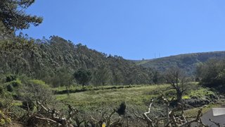 Land for sale in Cadaval, Portugal
