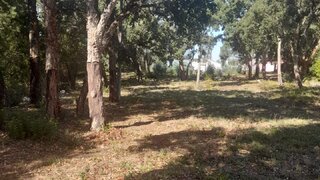 Land for sale in Alcobaça, Portugal — €45,000