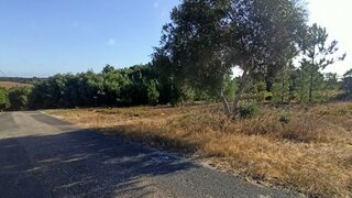 Terreno em Coruche