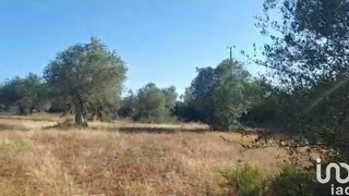Land for sale in Alcácer do Sal, Portugal — €300,000