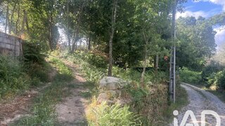 Terreno em Castro Daire