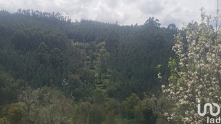 Land for sale in Mação, Portugal — €14,000