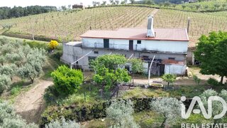 Land for sale in Alijó, Portugal — €289,000