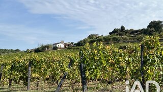 Land for sale in Alijó, Portugal — €640,000