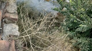 Land for sale in Cuba, Portugal — €25,500