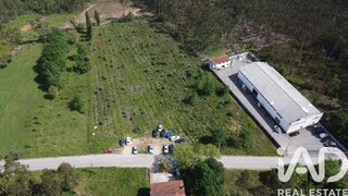 Land for sale in Anadia, Portugal — €120,000