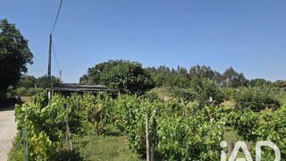 Land for sale in Santa Comba Dão, Portugal — €15,900