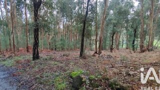 Land for sale in Monção, Portugal — €56,500