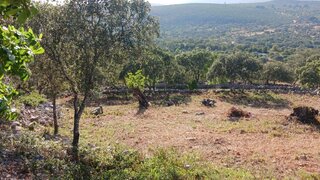 Land for sale in Loulé, Portugal — €30,000