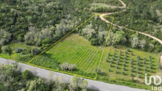 Land for sale in Penela, Portugal — €10,000