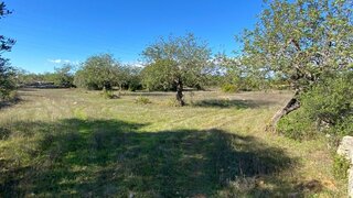 Land for sale in São Brás de Alportel, Portugal — €37,000