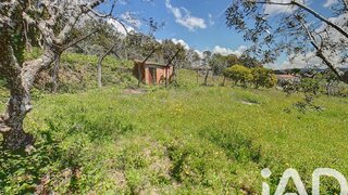 Land for sale in Sertã, Portugal — €22,000