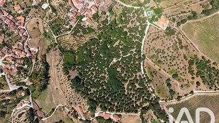 Land for sale in Carregal do Sal, Portugal — €350,000