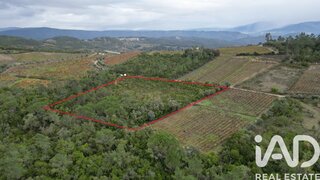 Land for sale in Condeixa-a-Nova, Portugal — €35,000