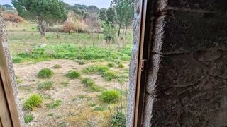Land for sale in Tábua, Portugal — €68,000