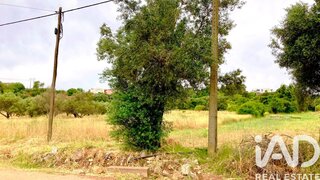 Land for sale in São Brás de Alportel, Portugal — €56,000