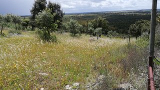 Terreno em Nisa