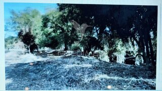 Land for sale in Grândola, Portugal — €350,000