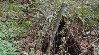 Land for sale in Peso da Régua, Portugal — €11,000