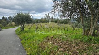 Land for sale in Coimbra, Portugal — €20,000