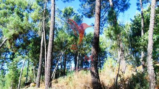 Land for sale in Vila Real, Portugal — €72,000
