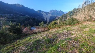 Terreno em Machico