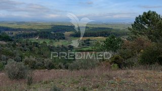 Terreno em Santarém · 25 560 m² · 25 500 €