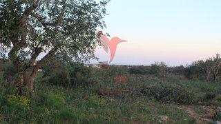 Land for sale in Albufeira, Portugal — €86,500