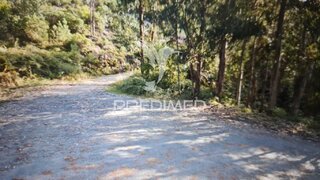 Land for sale in Sertã, Portugal — €25,000