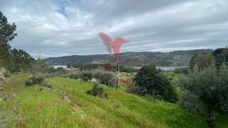 Terreno de 55 000 m² em Viseu