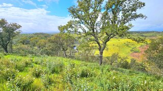 Land for sale in Almodôvar, Portugal — €150,000